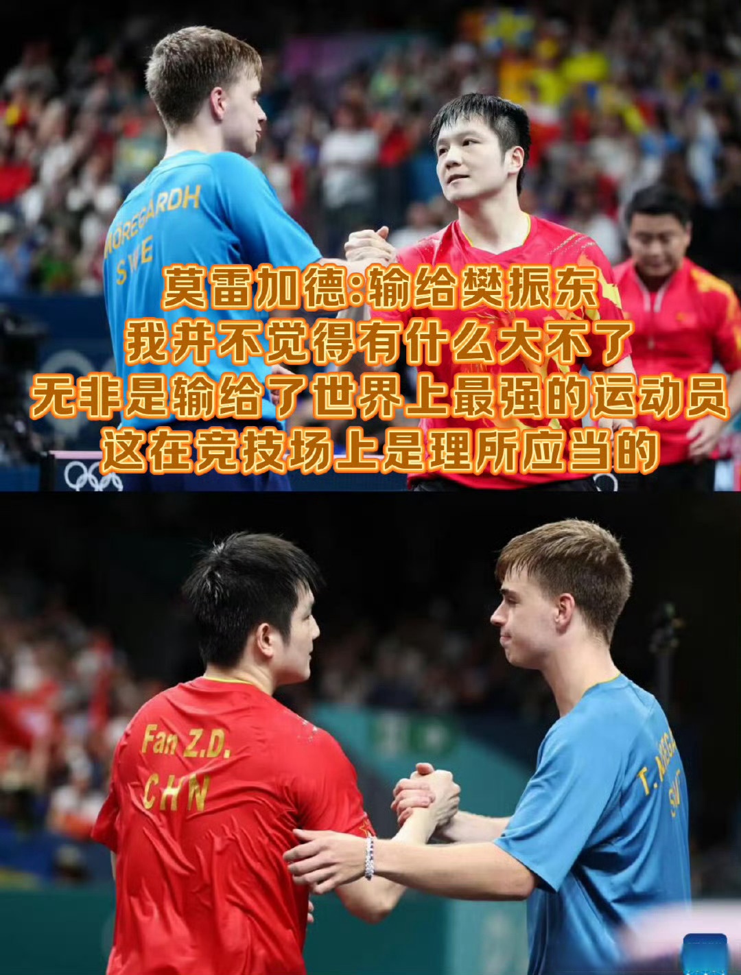 日本队横扫瑞典队，樊振东统治全场