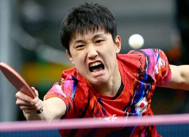 中国队完胜法国队,张本智和高光表现 中国队完胜法国队,张本智和高光表现