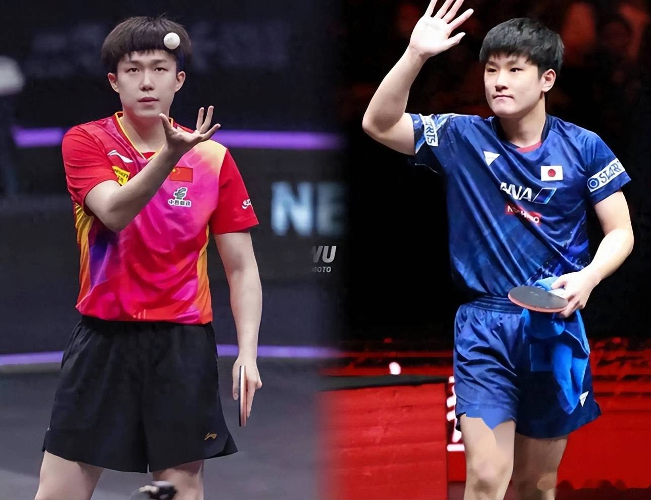 中国队完胜法国队,张本智和高光表现 中国队完胜法国队,张本智和高光表现