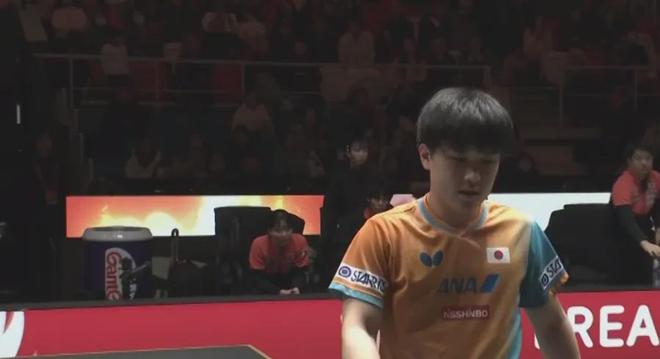 法国队逆转德国队,张本智和关键制胜 法国队逆转德国队,张本智和关键制胜