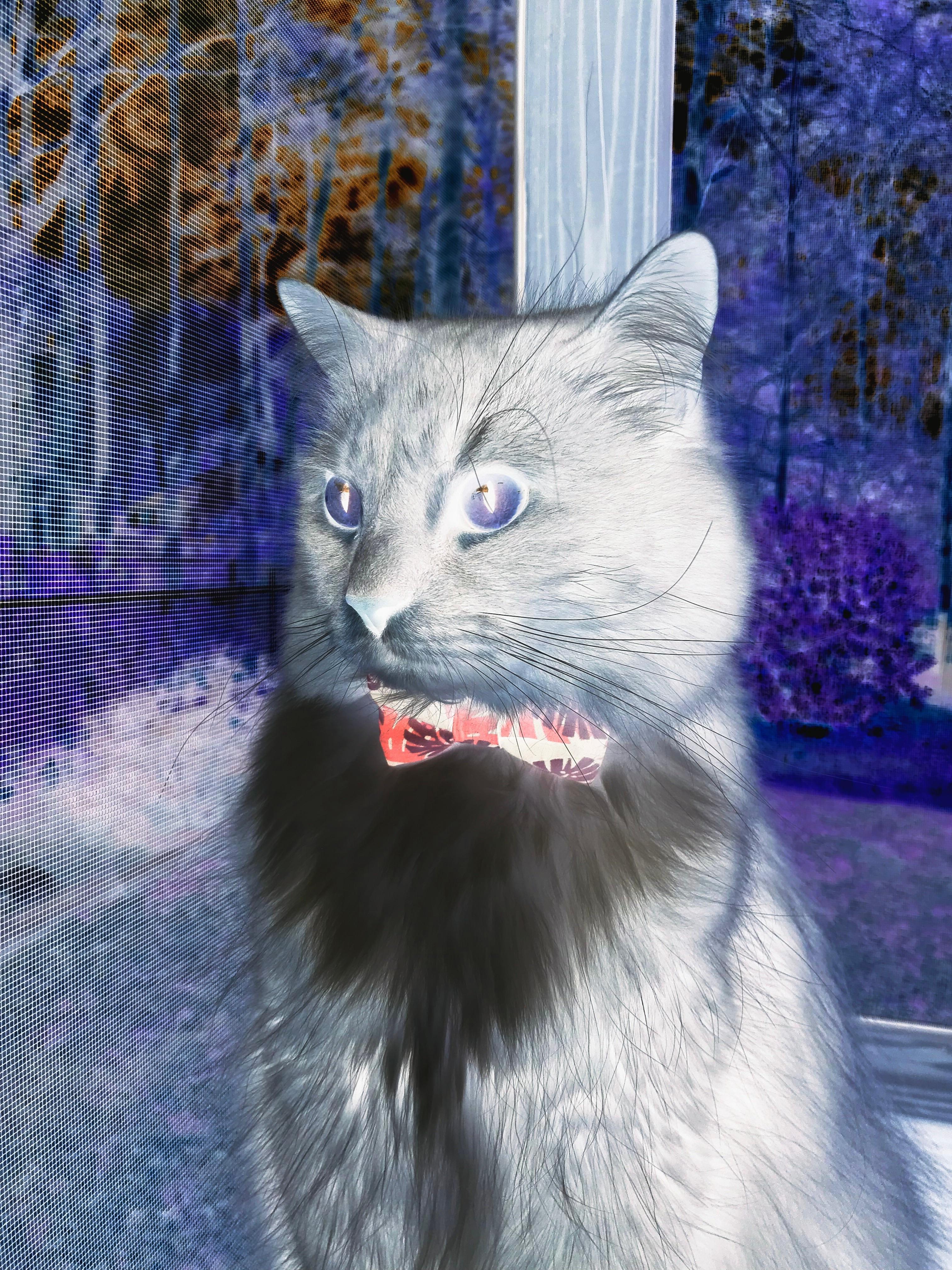 掌控风云，杰伦·格林独舞定乾坤，辽宁巅峰对决力压广东