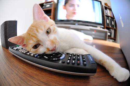 鹈鹕狂胜雷霆,杜兰特末节封神成关键先生